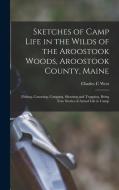 Sketches of Camp Life in the Wilds of the Aroostook Woods, Aroostook County, Maine; Fishing, Canoeing, Camping, Shooting and Trapping, Being True Stor di Charles C. West edito da LEGARE STREET PR