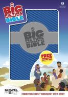 Hcsb Big Picture Interactive Bible edito da Broadman & Holman Publishers