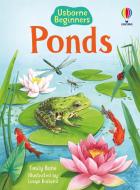 Ponds di Emily Bone edito da Usborne Publishing Ltd