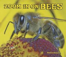 Zoom in on Bees di Melissa Stewart edito da ENSLOW PUBL