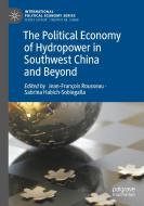 The Political Economy Of Hydropower In Southwest China And Beyond edito da Springer Nature Switzerland AG