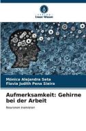 Aufmerksamkeit: Gehirne bei der Arbeit di Mónica Alejandra Seta, Flavia Judith Pena Sieira edito da Verlag Unser Wissen