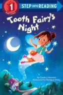 Tooth Fairy's Night di Candice Ransom edito da Random House USA Inc