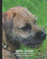 2019 - 2020 18 Month Weekly & Monthly Planner July 2019 to December 2020: Border Terrier Dog Breed Pets Animal Vol 65 Mo di Dazzle Book Press edito da INDEPENDENTLY PUBLISHED