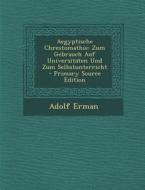 Aegyptische Chrestomathie: Zum Gebrauch Auf Universitaten Und Zum Selbstunterricht - Primary Source Edition di Adolf Erman edito da Nabu Press