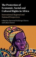 The Protection of Economic, Social and Cultural Rights in             Africa edito da Cambridge University Press