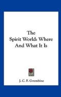 The Spirit World: Where and What It Is di J. C. F. Grumbine edito da Kessinger Publishing