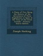 A Flame of Fire: Being the History of the Adventures of Three Englishmen in Spain at the Time of the Great Armada di Joseph Hocking edito da Nabu Press