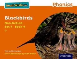 Read Write Inc. Phonics: Orange Set 4 Non-fiction 4 Blackbirds di Gill Munton edito da OUP Oxford