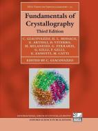 Fundamentals of Crystallography di Carmelo Giacovazzo, Hugo Luis Monaco, Gilberto Artioli edito da PAPERBACKSHOP UK IMPORT