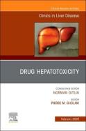 Hepatic Enceophalopathy, An Issue Of Clinics In Liver Disease di Rustgi edito da Elsevier Science Publishing Co Inc