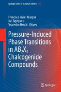 Pressure-Induced Phase Transitions in AB2X4 Chalcogenide Compounds edito da Springer Berlin Heidelberg