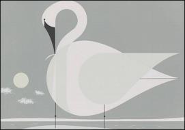 Charley Harper: Trumpeter Swan Notecards [With Envelope] edito da Pomegranate Communications