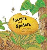 Insects and Spiders: Insects and Spiders di Bo Rin edito da BIG & SMALL
