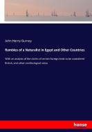 Rambles of a Naturalist in Egypt and Other Countries di John Henry Gurney edito da hansebooks