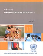 Compendium of Social Statistics and Indicators: 2011-2012: Arab Society Issue No.11 di United Nations, Economic & Social Commission for Western Asia edito da UNITED NATIONS PUBN