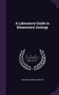 A Laboratory Guide In Elementary Zoology di William Fairfield Mercer edito da Palala Press
