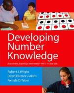 Developing Number Knowledge: Assessment, Teaching and Intervention with 7-11 Year Olds di Robert J. Wright, David Ellemor-Collins, Pamela D. Tabor edito da Sage Publications (CA)