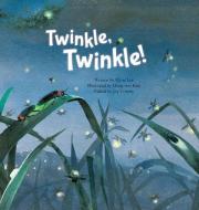 Twinkle Twinkle!: Insect Life Cycle di Mi-Ae Lee edito da BIG & SMALL