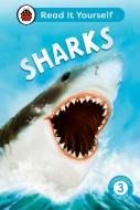 Sharks: Read It Yourself - Level 3 Confident Reader di Ladybird edito da Penguin Random House Children's UK