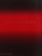 Anish Kapoor di David Anfam, Johanna Burton, Donna De Salvo edito da Phaidon Press Ltd