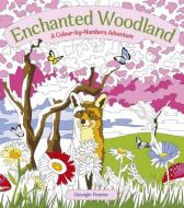 Enchanted Woodland: A Colour-by-Numbers Adventure di Georgie Fearns edito da Arcturus Publishing Ltd