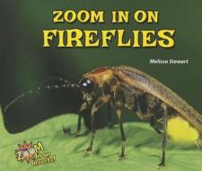 Zoom in on Fireflies di Melissa Stewart edito da ENSLOW PUBL