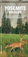Yosemite Wildlife: A Folding Pocket Guide to Familiar Species di James Kavanagh, Waterford Press edito da Waterford Press