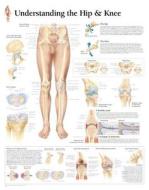 Understanding The Hip & Knee Laminated Poster di Scientific Publishing edito da Scientific Publishing Limited