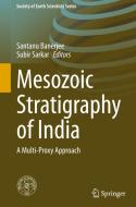 Mesozoic Stratigraphy of India edito da Springer International Publishing