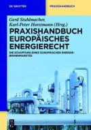 Praxishandbuch Europaisches Energierecht: Die Schaffung Eines Europaischen Energie-Binnenmarktes edito da Walter de Gruyter