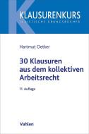 30 Klausuren aus dem kollektiven Arbeitsrecht di Hartmut Oetker edito da Vahlen Franz GmbH