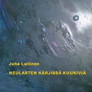 Neulasten kärjissä kuukiviä di Juha Laitinen edito da Books on Demand