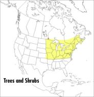 A Field Guide to Trees and Shrubs di George A. Petrides edito da Houghton Mifflin