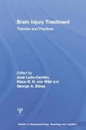 Brain Injury Treatment di Jose Leon-Carrion, George A. Zitnay, Klaus R. H. von (University of Munster Wild edito da Taylor & Francis Ltd