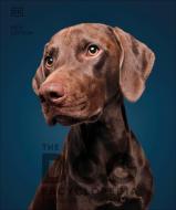 The Dog Encyclopedia: The Definitive Visual Guide di Dk edito da DK PUB