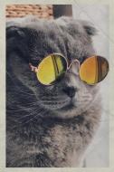 Journal: Cat Wearing Glasses Professional Bullet Journal Dot Grid Daily Planner Vintage Retro Poster Style for Mamá Gato di Molly Elodie Rose edito da INDEPENDENTLY PUBLISHED