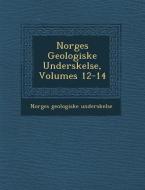 Norges Geologiske Unders Kelse, Volumes 12-14 di Norges Geologiske Unders Kelse edito da SARASWATI PR