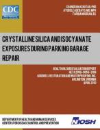 Crystalline Silica and Isocyanate Exposures During Parking Garage Repair di Chandran Achutan, Dr Ayodele Adebayo, Dr Chandran Achutan edito da Createspace