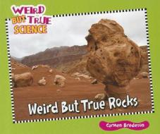 Weird But True Rocks di Carmen Bredeson edito da Enslow Elementary