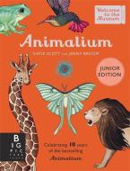 Animalium (Junior Edition) di Jenny Broom edito da Templar Publishing