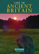 Life in Ancient Britain di Brian Williams edito da Pavilion Books