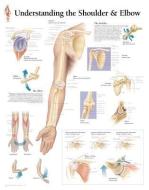 Understanding The Shoulder & Elbow Laminated Poster di Scientific Publishing edito da Scientific Publishing Limited