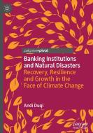 Banking Institutions And Natural Disasters di Andi Duqi edito da Springer International Publishing AG
