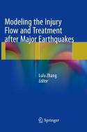 Modeling the Injury Flow and Treatment after Major Earthquakes edito da Springer