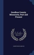 Goodhue County, Minnesota, Past And Present di Joseph Woods Hancock edito da Sagwan Press