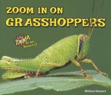 Zoom in on Grasshoppers di Melissa Stewart edito da Enslow Elementary