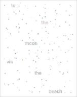 To The Moon Via The Beach di Liam Gillick, Maja Hoffmann, Hans-Ulrich Obrist edito da Jrp Ringier