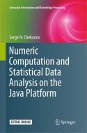 Numeric Computation and Statistical Data Analysis on the Java Platform di Sergei V. Chekanov edito da Springer International Publishing