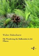 Die Wanderung des Kalkoxalats in der Pflanze di Walter Rabenhorst edito da Vero Verlag